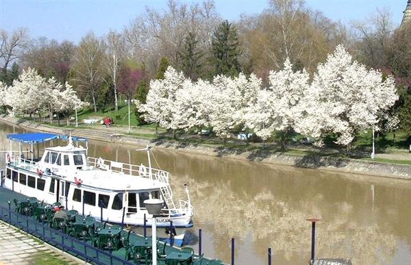 Oferte Cazare Timisoara Hoteluri Timisoara Vacanta Timisoara